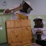spotkanie z pszczelarzem 11